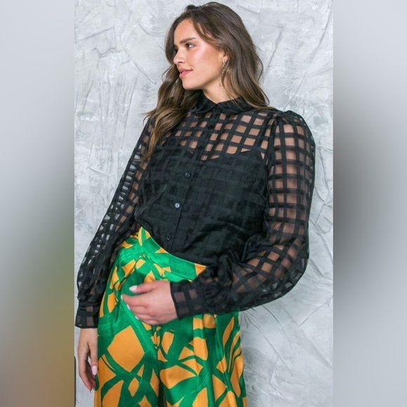 NWT SOPHIA Sheer Checkered Long Sleeve Blouse | Boutique - Picture 2 of 6